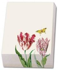 Memo blocnote: Tulpen/Tulips, Jacob Marrel, Collection Rijksmuseum Amsterdam