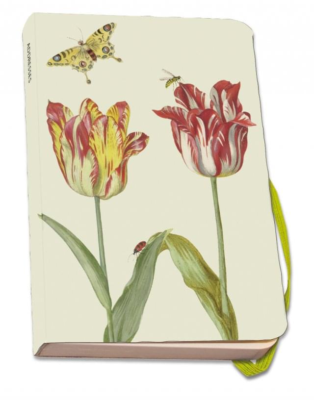 Adresboek A6: Tulpen/Tulips, Jacob Marrel, Collection Rijksmuseum Amsterdam