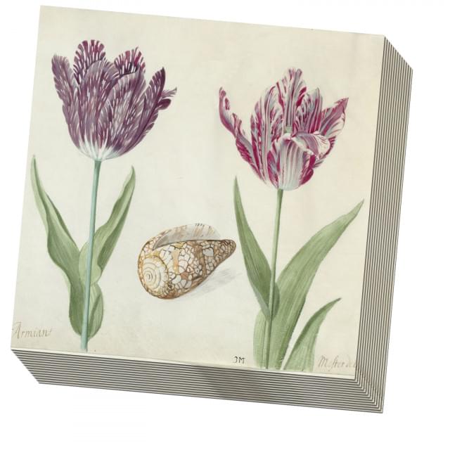 Servetten: Tulpen/Tulips, Jacob Marrel, Collection Rijksmuseum Amsterdam