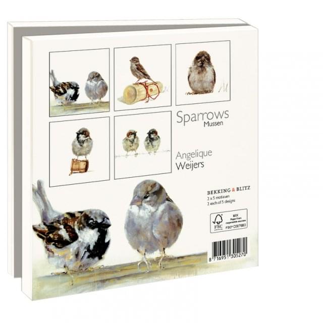 Kaartenmapje met env, vierkant: Sparrows, Angelique Weijers