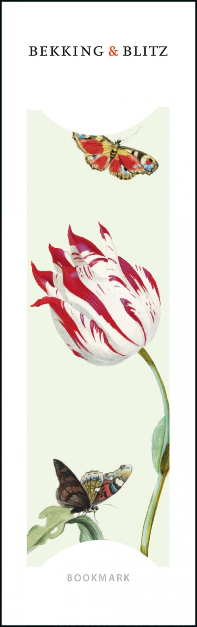 Tulpen / Tulips, Jacob Marrel, Collection Rijksmuseum Amsterdam