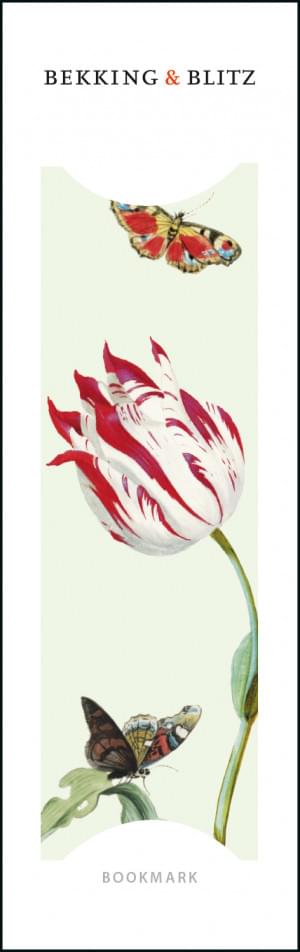 Tulpen / Tulips, Jacob Marrel, Collection Rijksmuseum Amsterdam