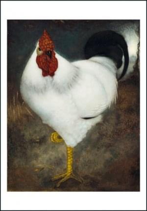 Witte haan, Jan Mankes, Museum MORE