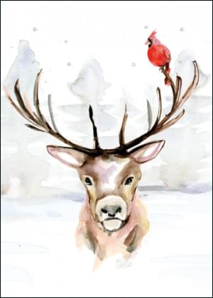 Deer, Michelle Dujardin