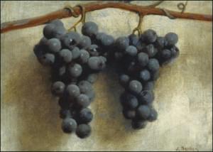 Druiven, Joseph Decker