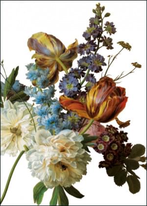 Bloemstilleven met albasten vaas, Gerard van Spaendonck, Rijksmuseum Amsterdam