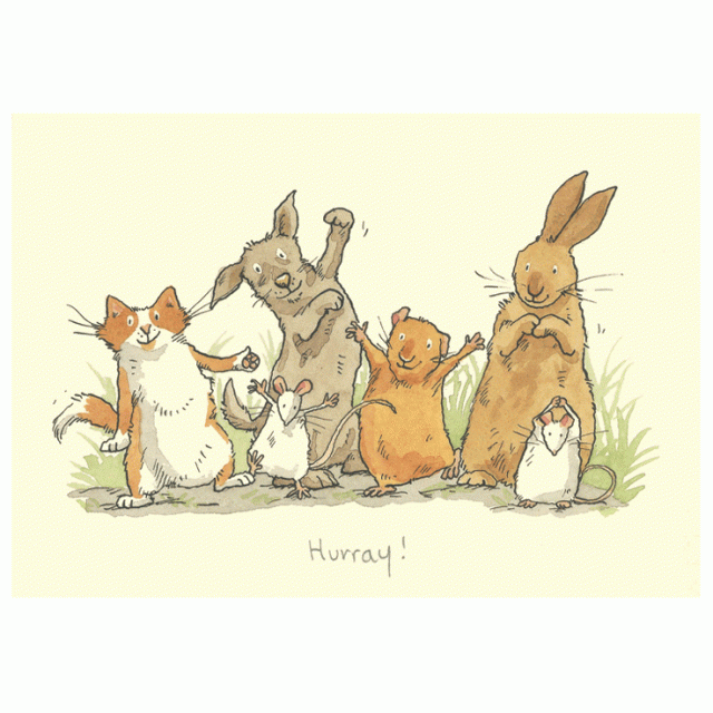 Hurray Card by Anita Jeram