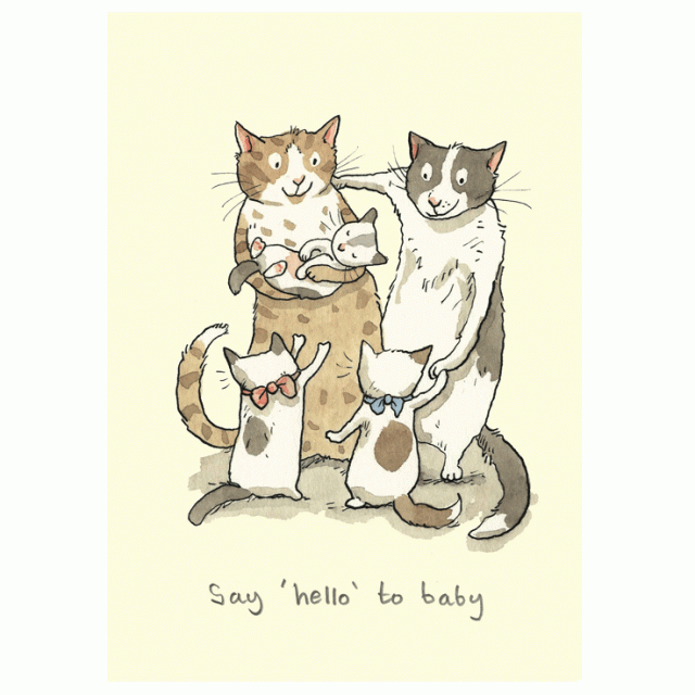 Say ‘Hello’ To Baby card  by Anita Jeram