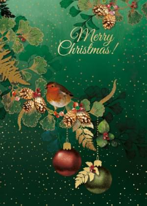 Merry Christmas, roodborstje, Lara Skinner