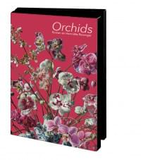 Kaartenmapje met env, klein: Orchids, Roman en Henriëtte Reisinger