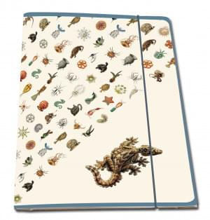 Portfoliomap A4: Art Forms of Nature, Ernst Haeckel, Teylers Museum