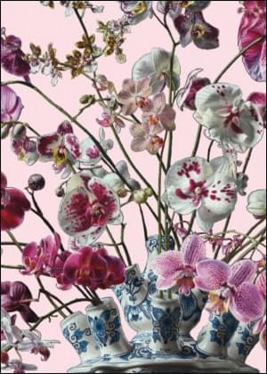 Bloemstilleven met orchideeën, Roman en Henriëtte Reisinger