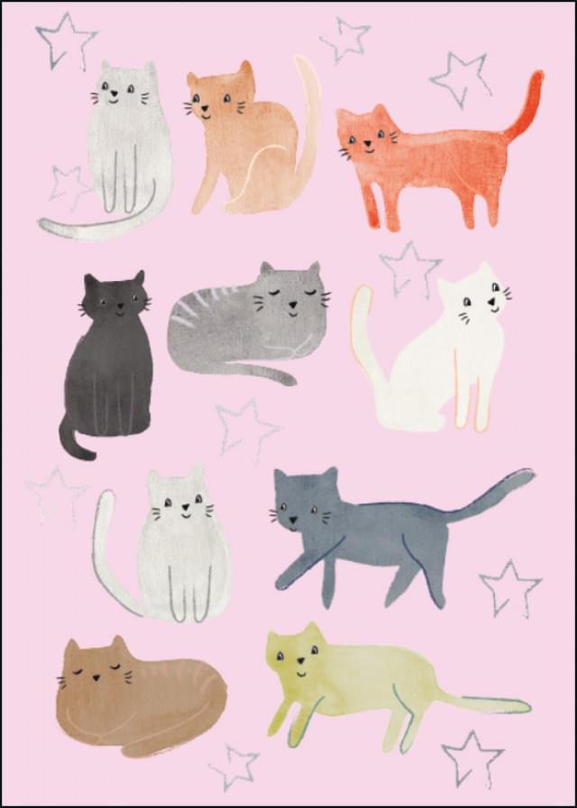 Katten, Joelle Wehkamp