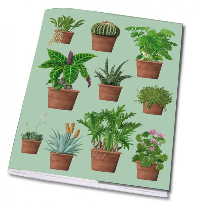 Schrift A5: Houseplant, Kelly van Koppenhagen, Hortus Botanicus Amsterdam