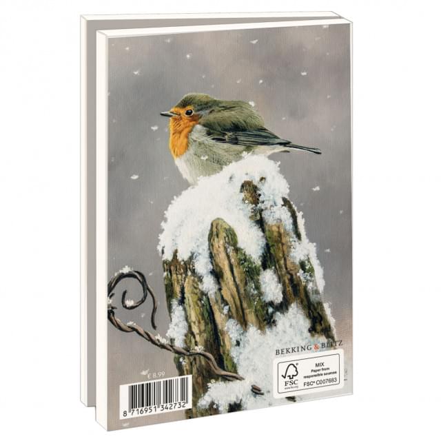 Kaartenmapje met env, klein: Snow birds, Hans Bulder