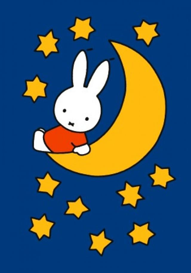 Nijntje - Miffy - Nijntje op de maan/ST, Dick Bruna