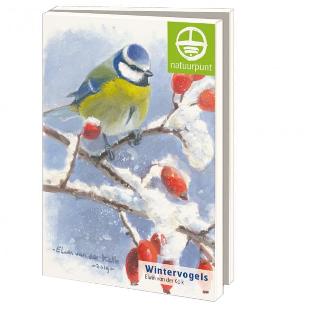 Kaartenmapje met env, groot: Wintervogels, Elwin van der Kolk, Natuurpunt