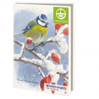 Kaartenmapje met env, groot: Wintervogels, Elwin van der Kolk, Natuurpunt
