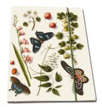 Portfoliomap A4: Flowers and butterflies, The Fitzwilliam Museum