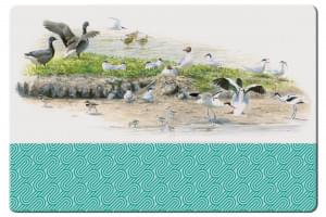 Placemat: Waddenvogels, Elwin van der Kolk, Vogelbescherming Nederland