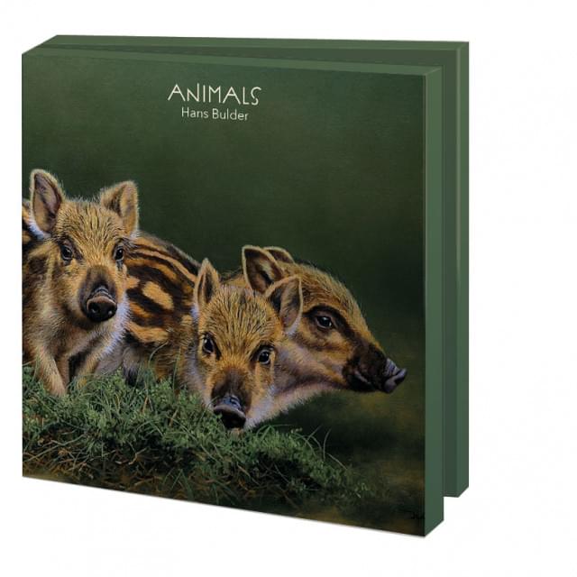 Kaartenmapje met env, vierkant: Animals, Hans Bulder