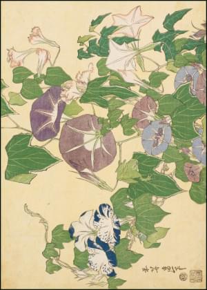 Convolvulus and Tree-frog, Katsushika Hokusai, The Fitzwilliam Museum