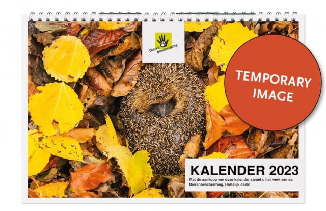 Dierenbescherming maandkalender 2023