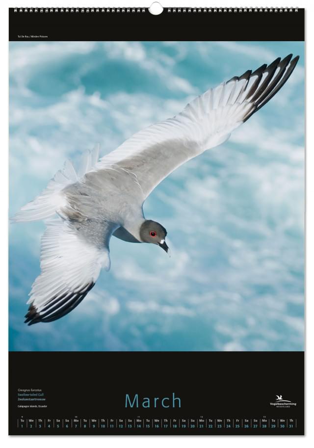 Birds posterkalender 2023, Vogelbescherming