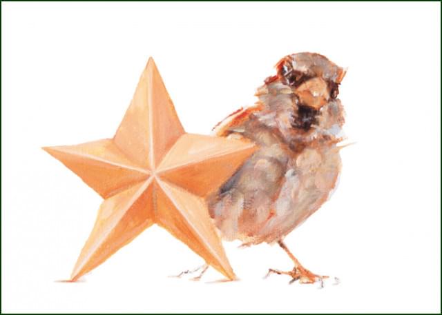 Ster!, Seasons Birds, Angelique Weijers