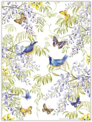Poster: Vogels in blauweregen, Janneke Brinkman-Salentijn