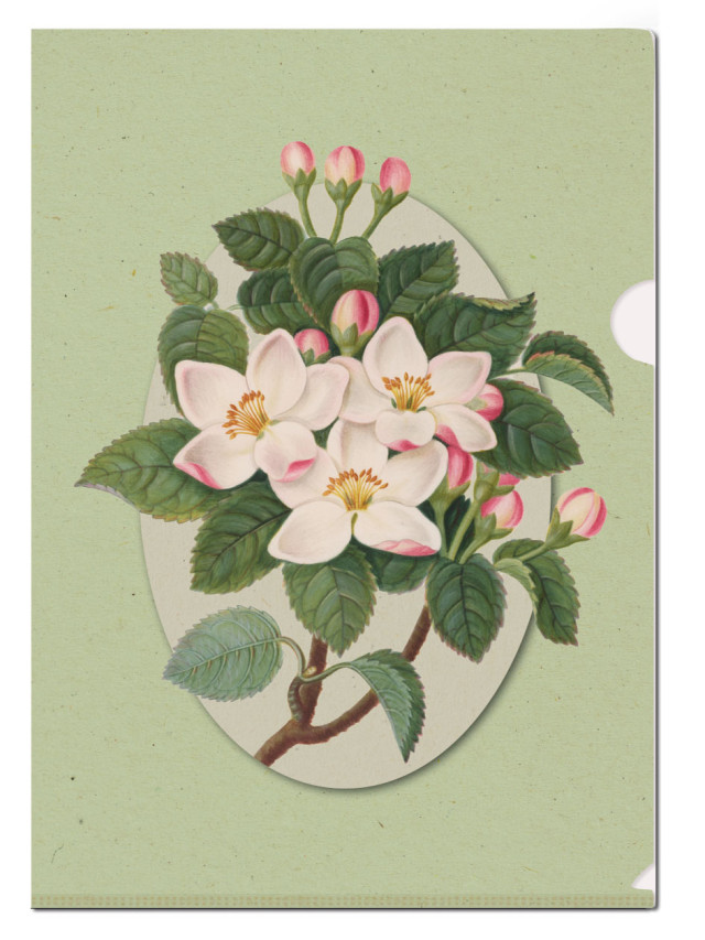 L-mapje A4 formaat: Botanical Treasures, James Bolton, Chester Beatty