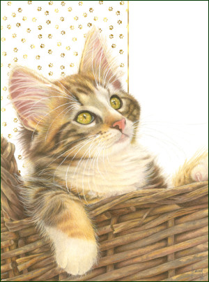 Poster: Franciens katten, Francien van Westering