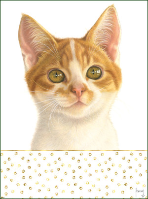 Poster: Franciens katten, Francien van Westering