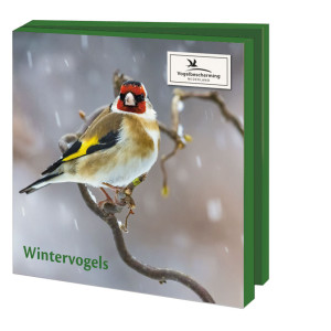 Kaartenmapje met env, vierkant: Wintervogels, Vogelbescherming Nederland