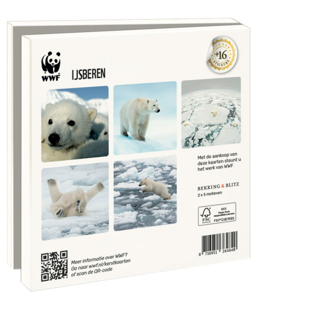 Kaartenmapje met env, vierkant: IJsberen, Wereld Natuurfonds