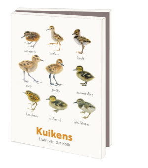 Kaartenmapje met env, klein: Kuikens, Elwin van der Kolk, Vogelbescherming