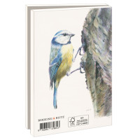 Kaartenmapje met env, klein: Birds, Nicole Boerema