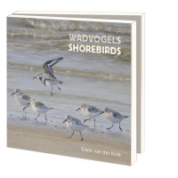 Kaartenmapje met env, vierkant: Wadvogels, Elwin van der Kolk, Vogelbescherming