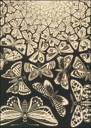 Butterflies, M.C. Escher