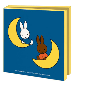 Kaartenmapje met env, vierkant: Dick Bruna, Het Sikkelcelfonds