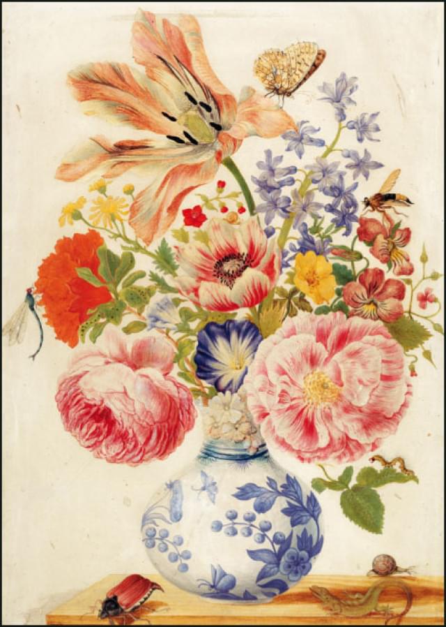 Chinese vase, Merian, SMB