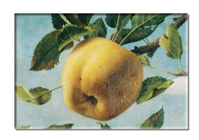 Koelkastmagneet: Stilleven met appel, Pyke Koch, Museum MORE