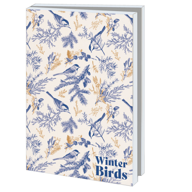 Kaartenmapje met env, groot: Winter Birds