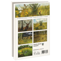 Kaartenmapje met env, groot: Rien Poortvliet, Noord-Veluws Museum