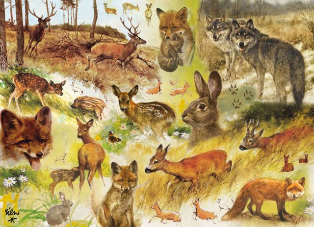 Puzzel (1.000 stukjes) Drawn to Nature, Rien Poortvliet