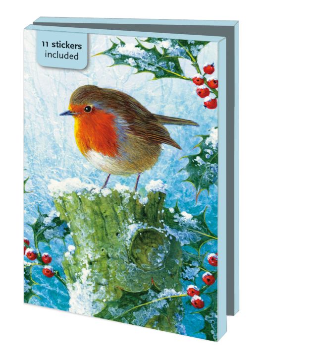 Kaartenmapje met env, klein: Robin in the Winter, Brian Rushton