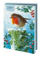 Kaartenmapje met env, klein: Robin in the Winter, Brian Rushton