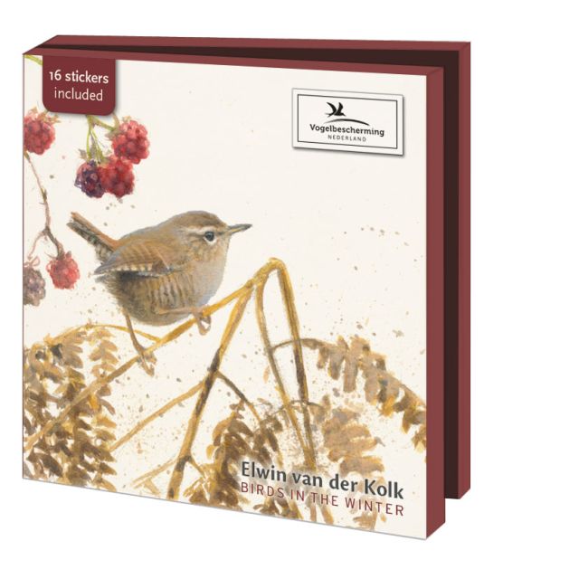 Kaartenmapje met env, vierkant: Birds in the Winter, Elwin van der Kolk, Vogelbescherming