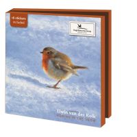 Kaartenmapje met env, vierkant: Robins in the Snow, Elwin van der Kolk, Vogelbescherming
