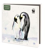 Kaartenmapje met env, vierkant: Arctic Winter, Michelle Dujardin